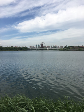 ︶ㄣ飛💫揚ゞ主播照片