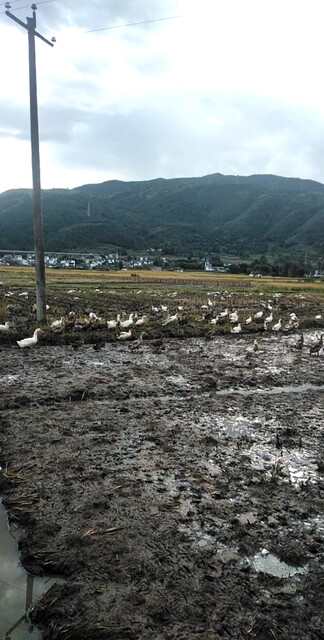 2019美丽风景