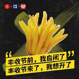 拾月★October主播照片