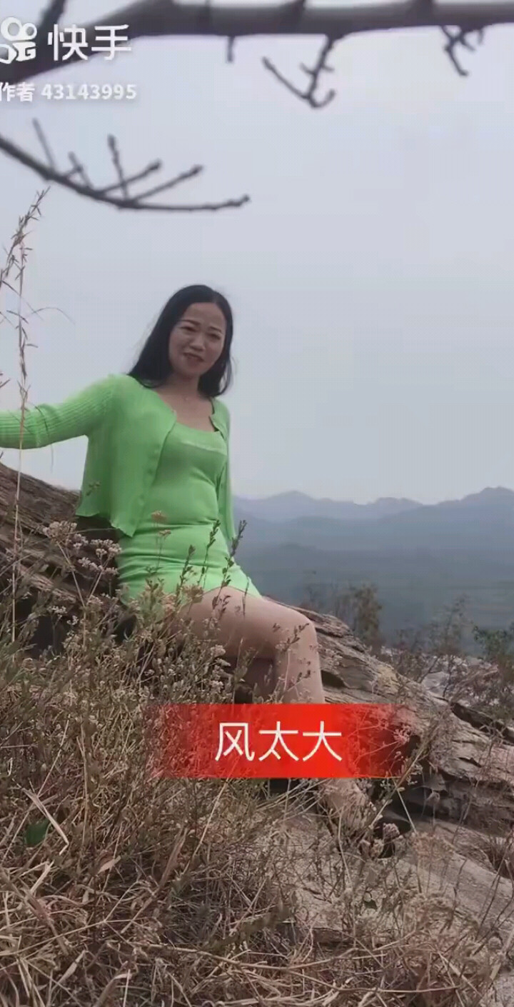 归去来兮
