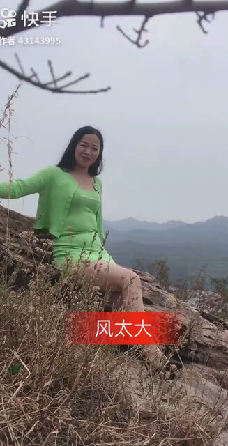 归去来兮