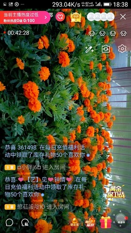 千容女郎主播照片