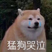 大王叫我来巡山喲～主播照片