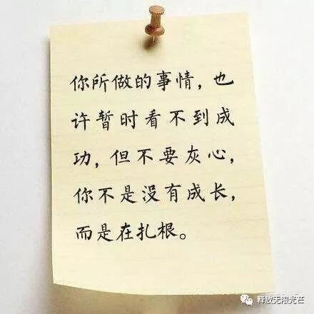 夏开心的图片