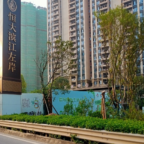 两情相依，百头眩老的主播照片