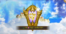 海鸽晚上见主播照片