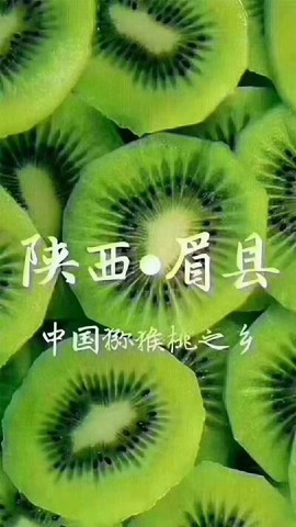 无雨🏂主播照片
