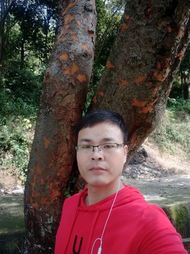 ツ寻梦者ツ的图片