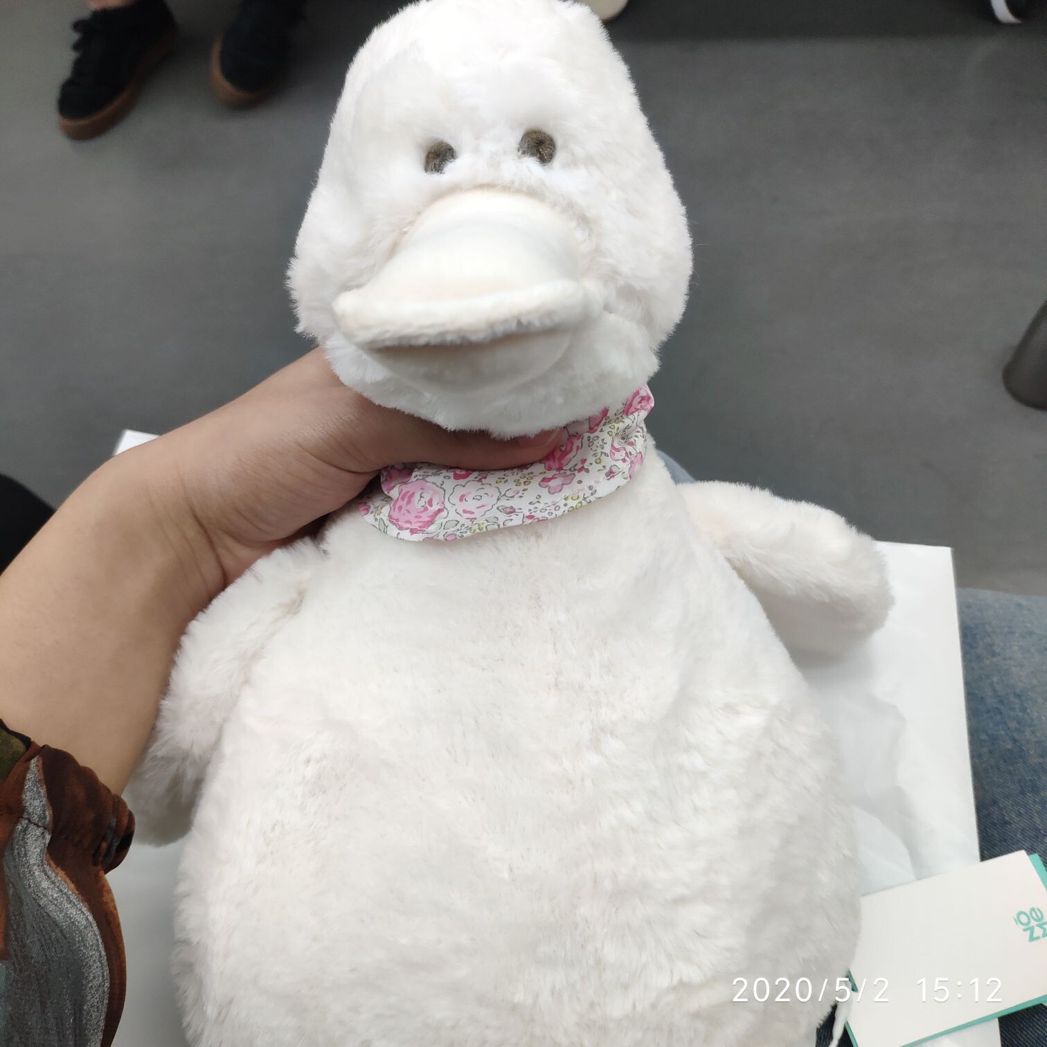 给我铁盆里扔一块钱主播照片