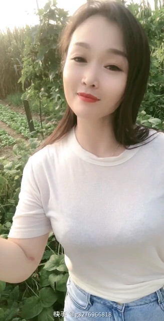 就是壳