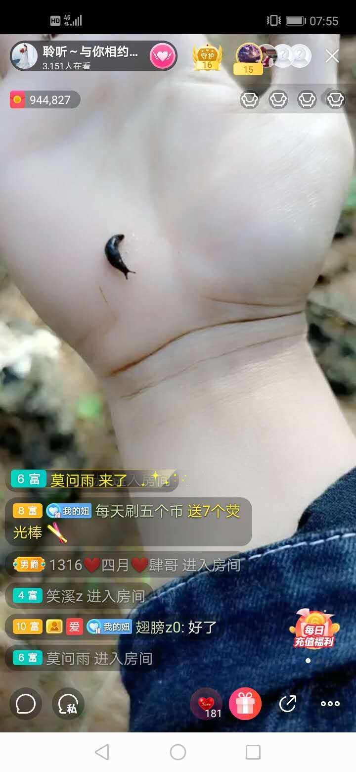 聆听~福妞儿的图片