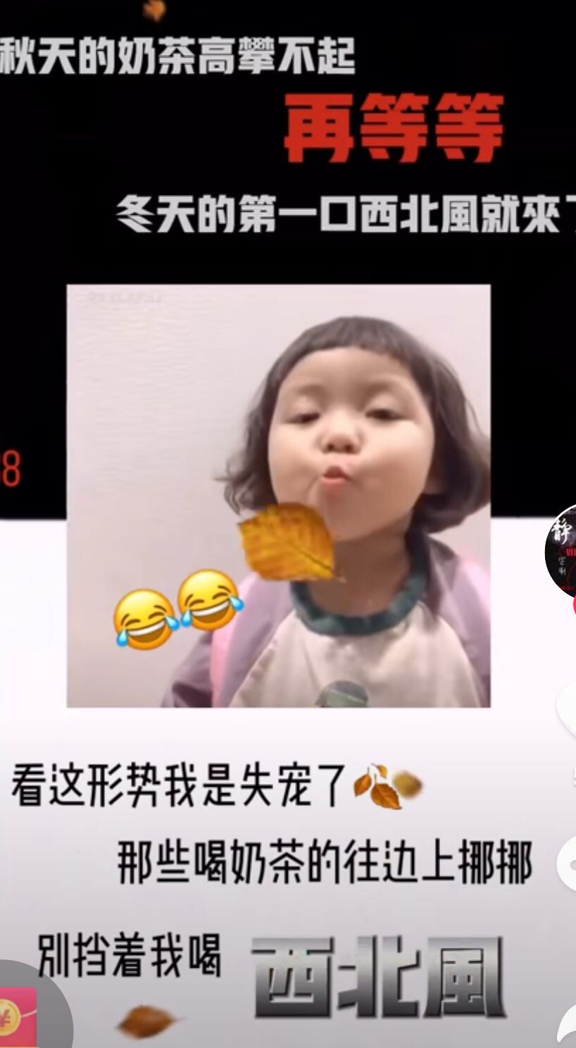 丑小鸭💞愿有一束光的图片