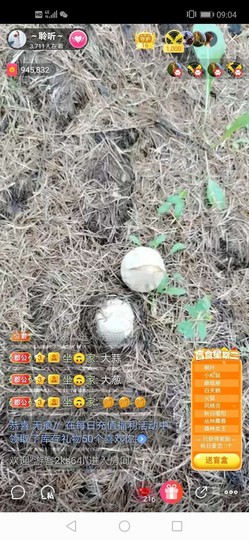 聆听~也想有人疼的图片