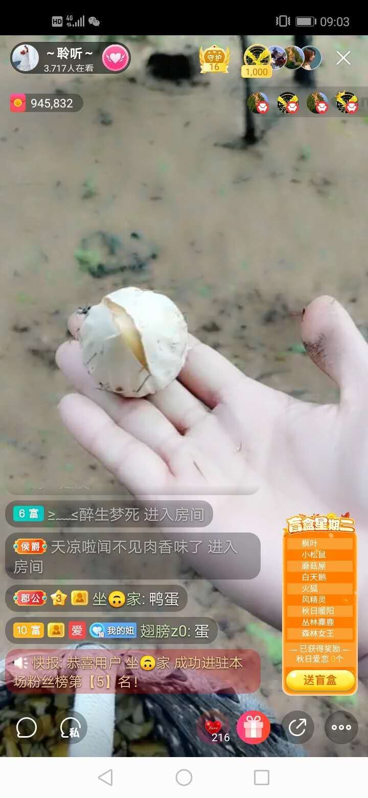 聆听~福妞儿的图片