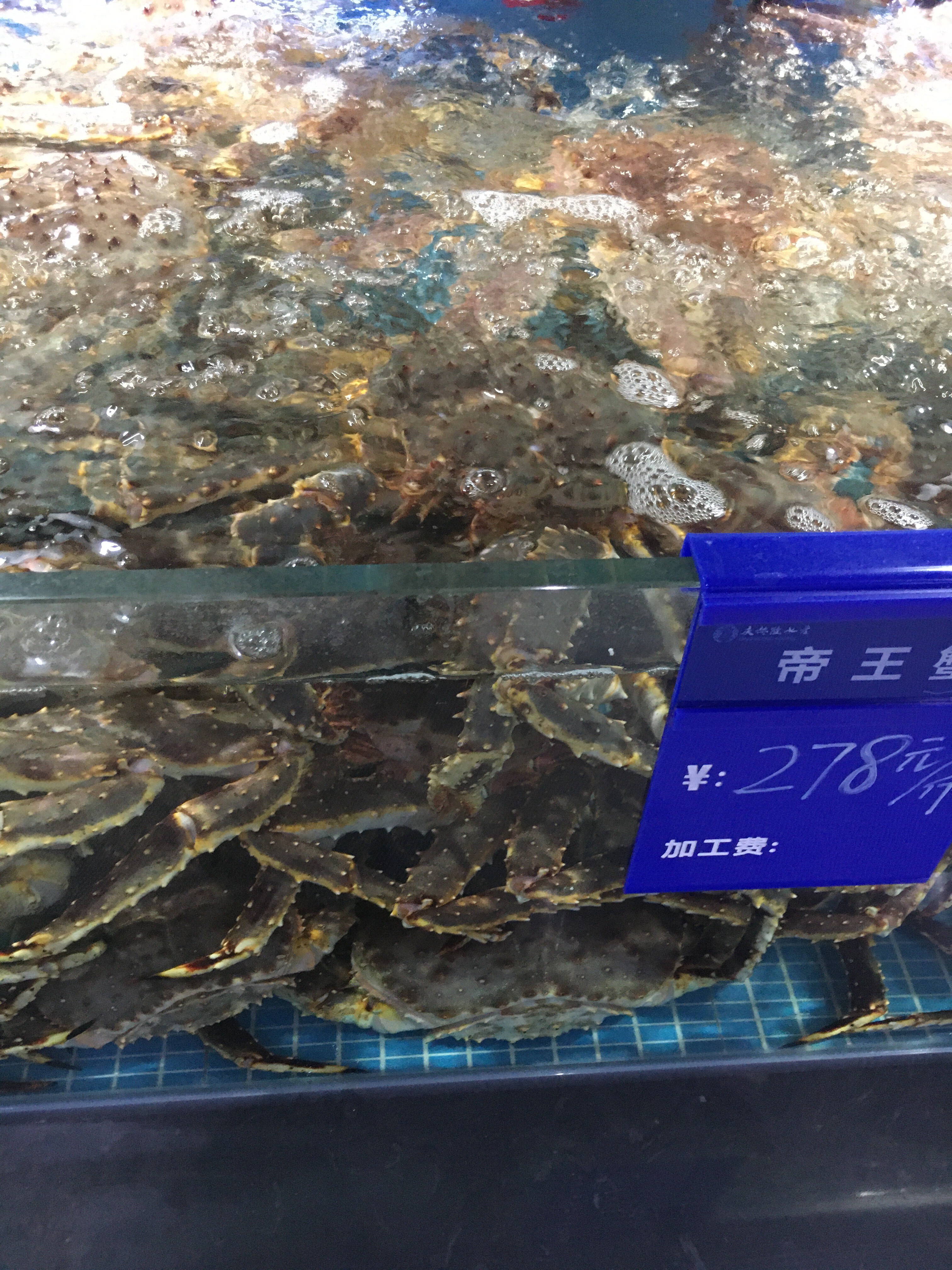 ♬茄酒人生♫主播照片