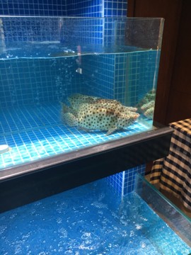 ♬茄酒人生♫主播照片