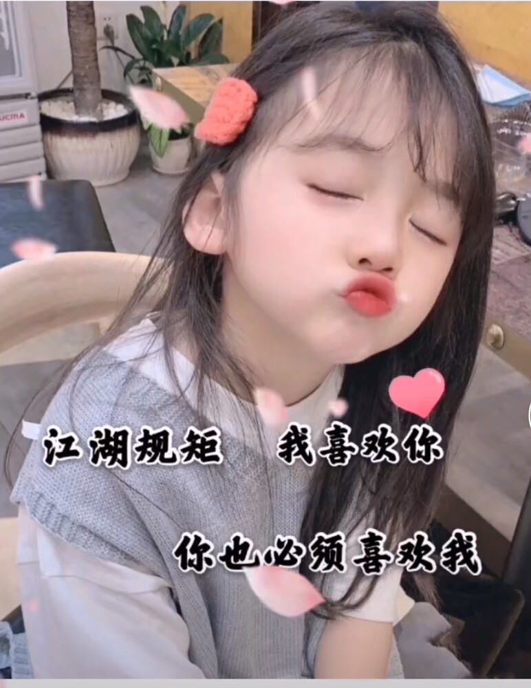 🍀风壁之路一起走主播照片