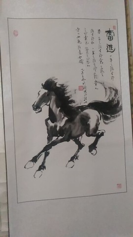 程建永主播照片