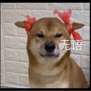 谈一场不是恋爱的恋爱主播照片