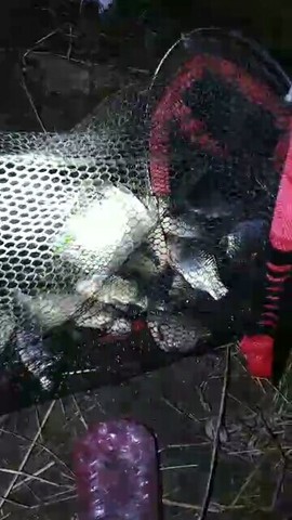 艾玛失踪人口主播照片