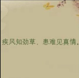 ╰╮玲珑╭╯主播照片