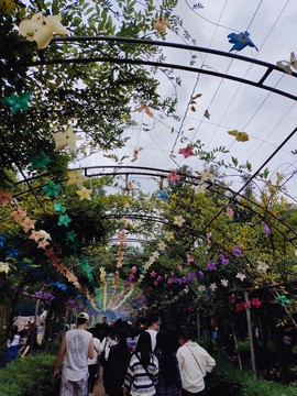 旺旺女孩☞主播照片