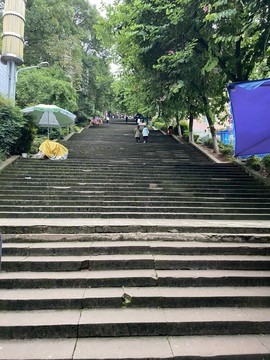 刘雨菲、主播照片