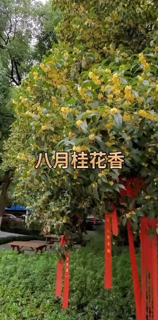 很喜欢这段话“有缘躲