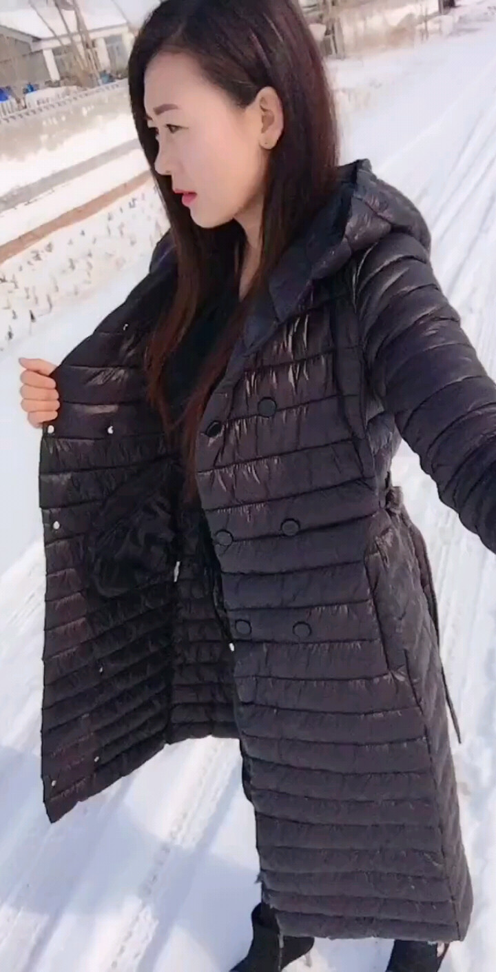 爱情鸟