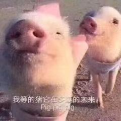 A亮宝金牌充值代秒返主播照片