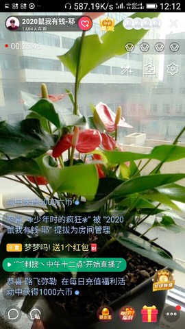 千容女郎主播照片