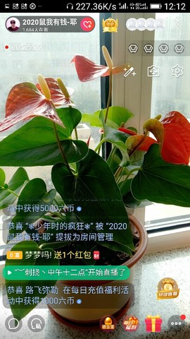 千容女郎主播照片