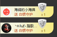 海鸽晚上见主播照片