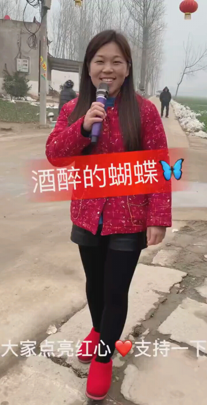 酒醉的蝴蝶