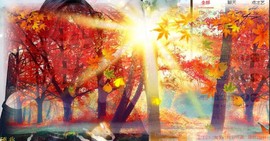 蜜乐*暂休主播照片