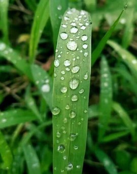დ释怀დ主播照片