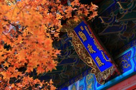 拾月★October主播照片