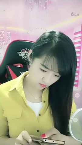 海鸽晚上见主播照片