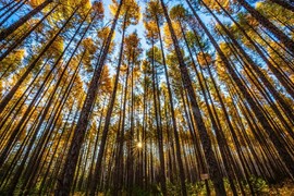 超持久“桑拿天”来了主播照片