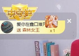 华莎求家人～主播照片