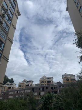 夏至🌸主播照片