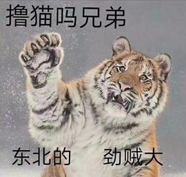 农民朱元璋主播照片