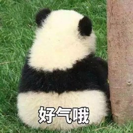 你铽、可恨的图片