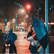 搂着惠主、想着珍爱