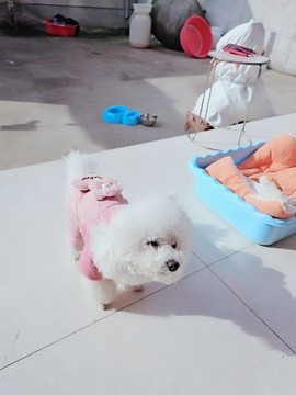 婷妹外卖小姐姐主播照片