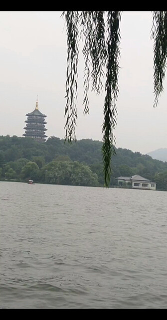 看了一场比赛，感慨万
