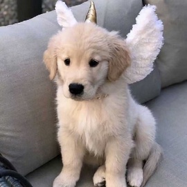 天蓝之云👼迟之永恒主播照片