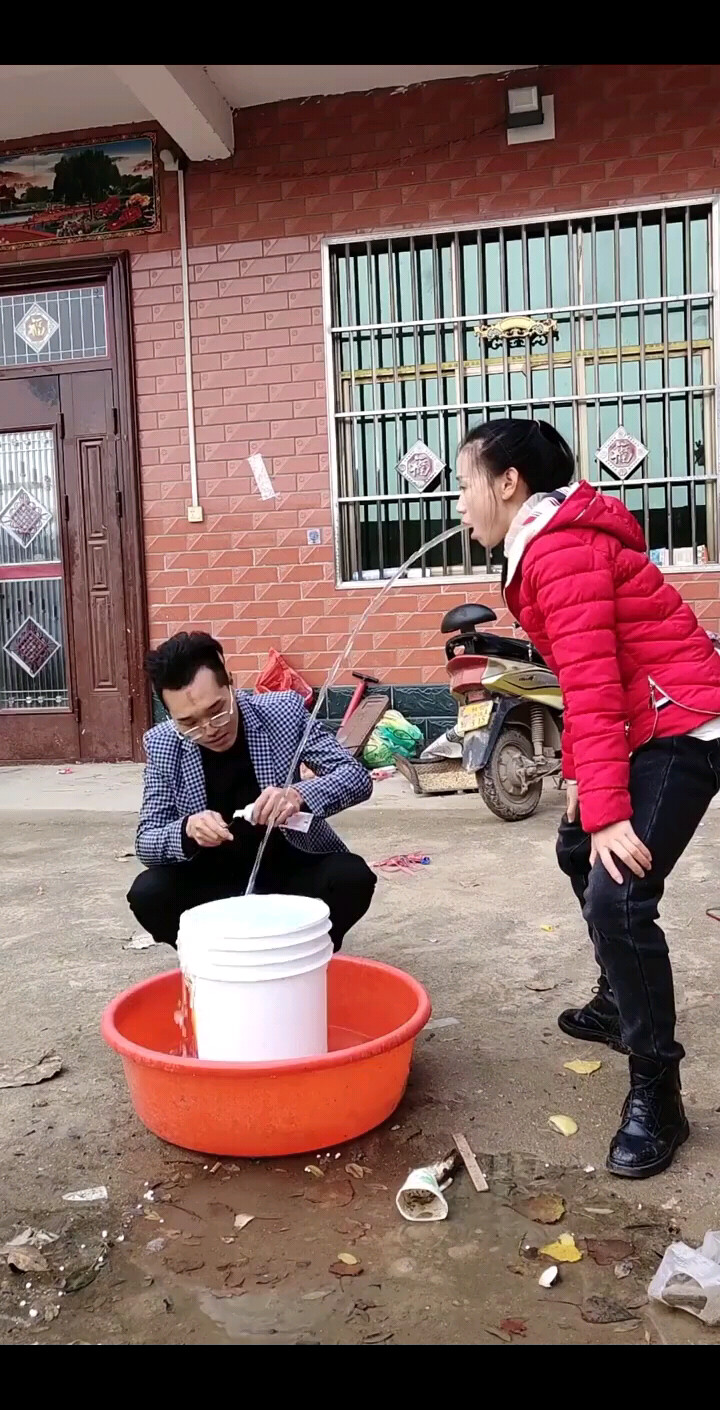 牛在飞