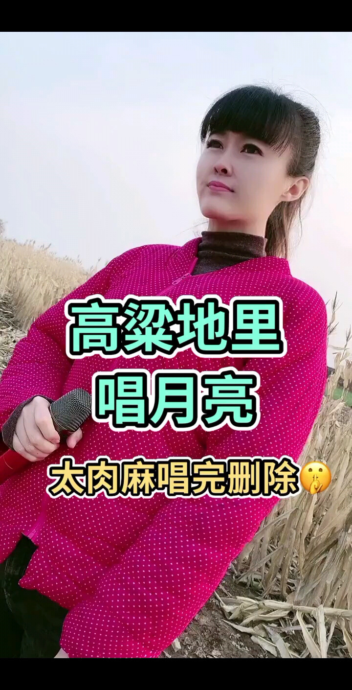 想你的时候问月亮