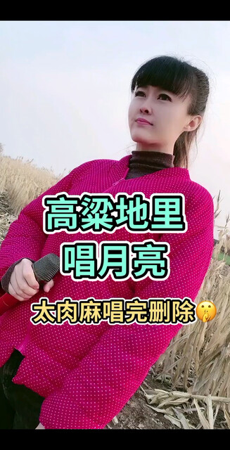 想你的时候问月亮